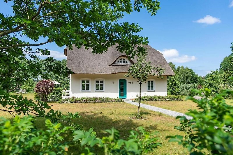 Ländliches Haus mit Garten und üppigem Grün.