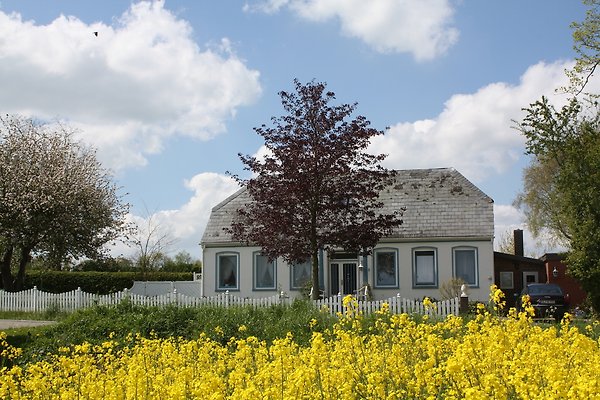 Ferienhaus Gelting