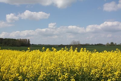 Tuindershuis Gut Ohrfeld