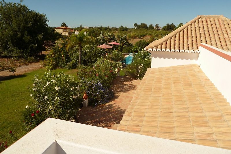 Widok z tarasu na dach na ogród i basen
