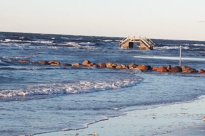 Stein/Ostsee mit Hund