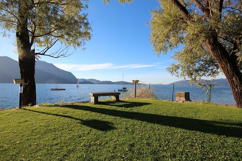 Öffentliche Liegewiese direkt am See (neben Strand & Snack-Bar)