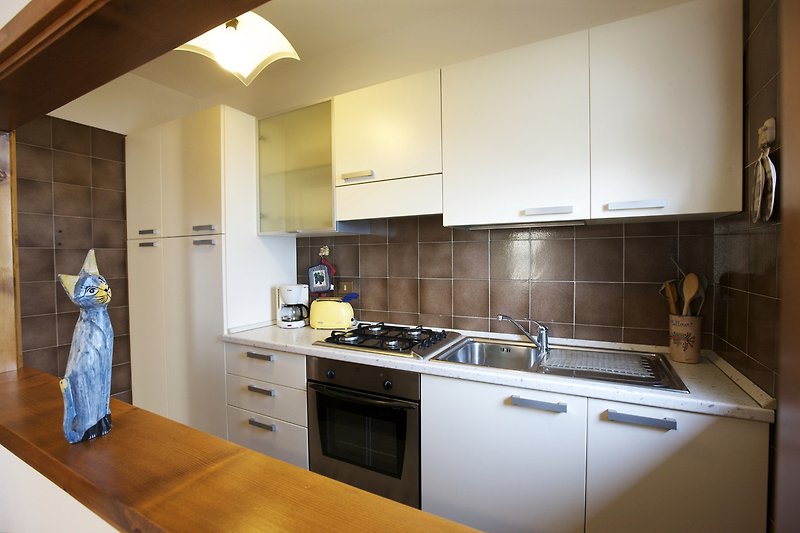 Gut ausgestattete, offene Küche mit Durchreiche zum Wohn-/ Esszimmer