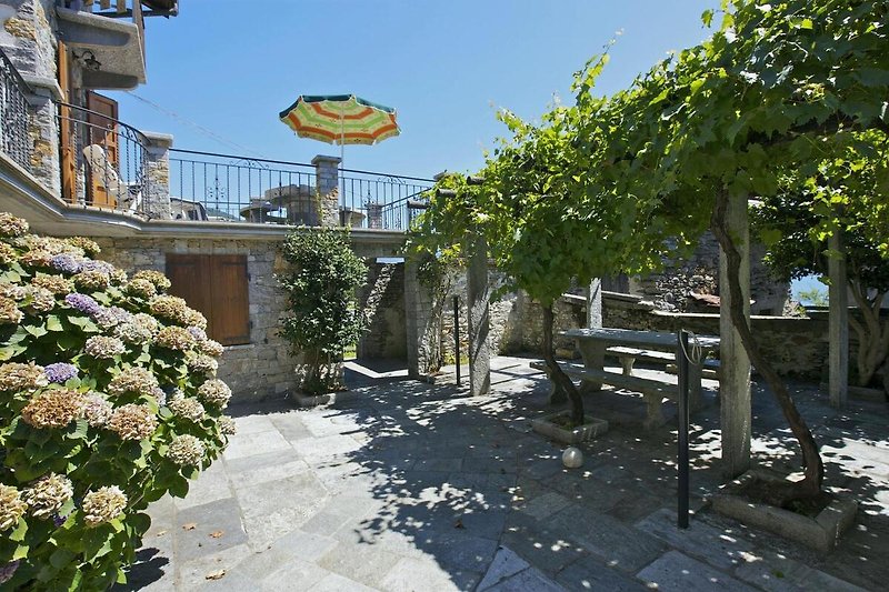 Ca. 50 m² große Terrasse mit Weinpergola, Steintisch und -bank