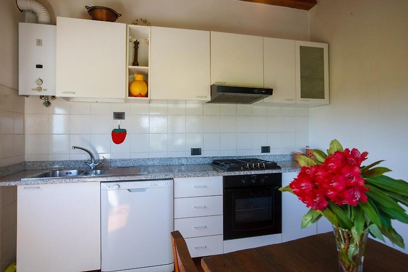 Separate Wohnküche mit Schwedenofen, 4-Flammen-Herd, Backofen und Geschirrspülmaschine