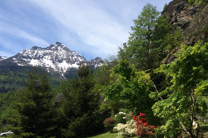 ... wunderschöner Sicht auf die Schweizer Westalpen