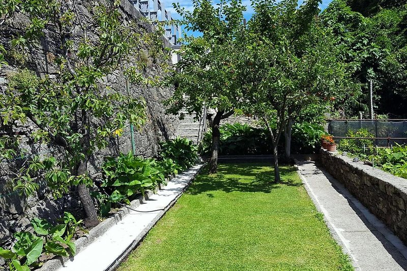 Ca. 500 m² großes Grundstück mit Garten, verschiedenen Obstbäumen und einzigartiger Sicht auf den See