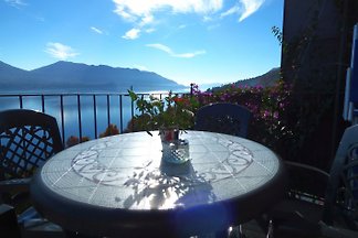 CasAle: Blu