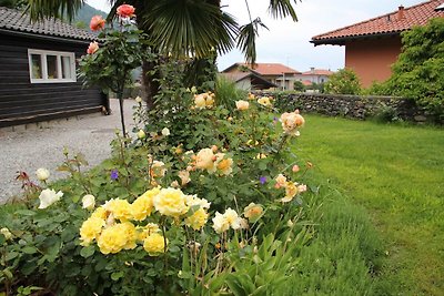 Holiday home relaxing holiday Cannobio