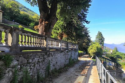 La Fattoria: Pecorella