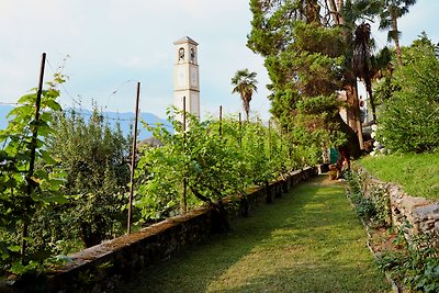 Villa Fiorita: Limone