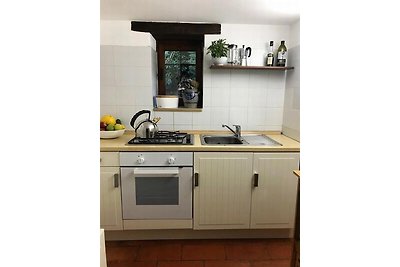 Holiday home relaxing holiday Trarego Viggiona