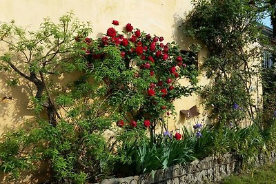 Villa La Canonica