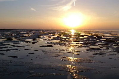Casa di vacanza Strandvogt III