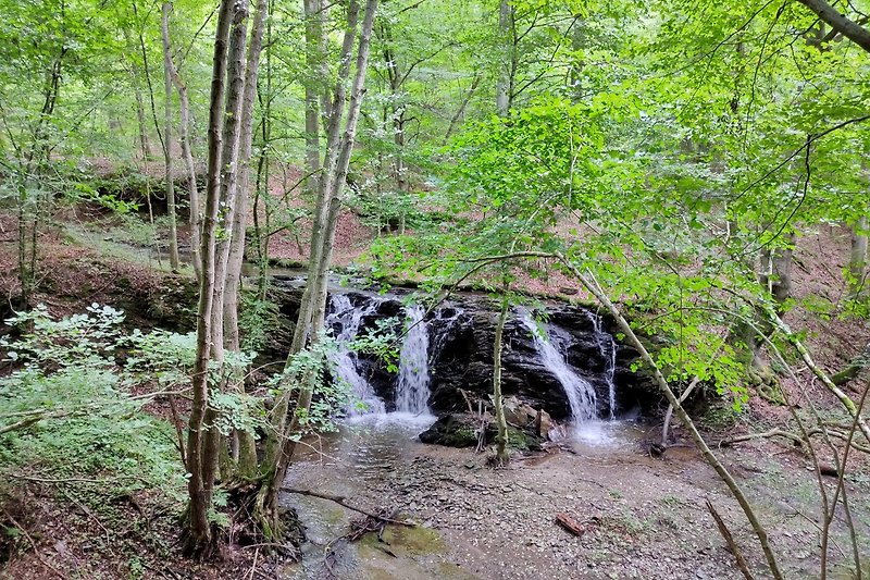 Ein idyllischer Wasserfall in einem Wald mit Fluss und Pflanzen.