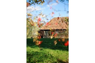 Lauwerslodge