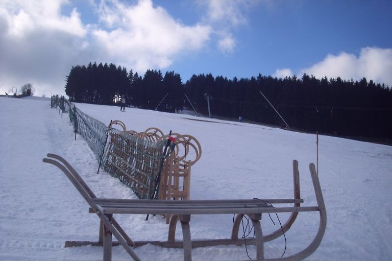 Riesenschlitten am gut gepflegten Ski- und Rodelhang im Nachbarort Holzhau, Februar 2016