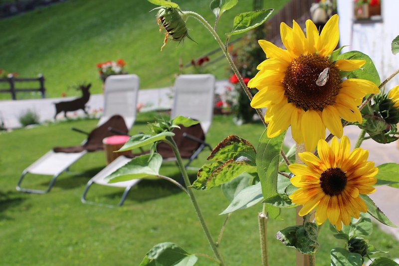 Una foto di un giardino con fiori, piante verdi e un prato soleggiato.