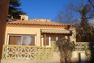 le Cèdre Bleu