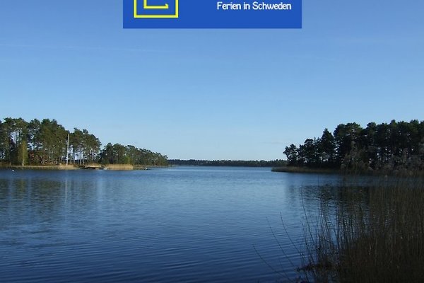 Company Schwedenblau Company Schwedenblau