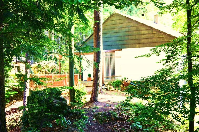 Izravna lokacija u šumi s drvenom terasom