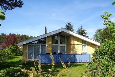 Seeschwalbe Mirow
