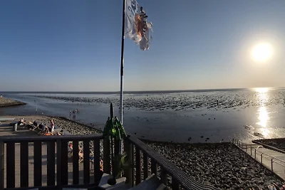 A parte l'erba di mare