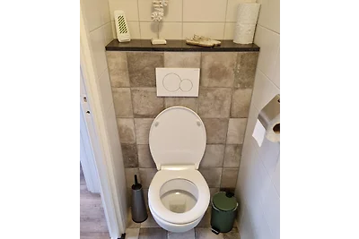 Het Zeepaardje