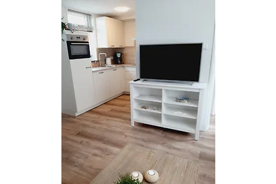 Het Zeepaardje