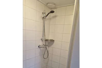 Het Zeepaardje