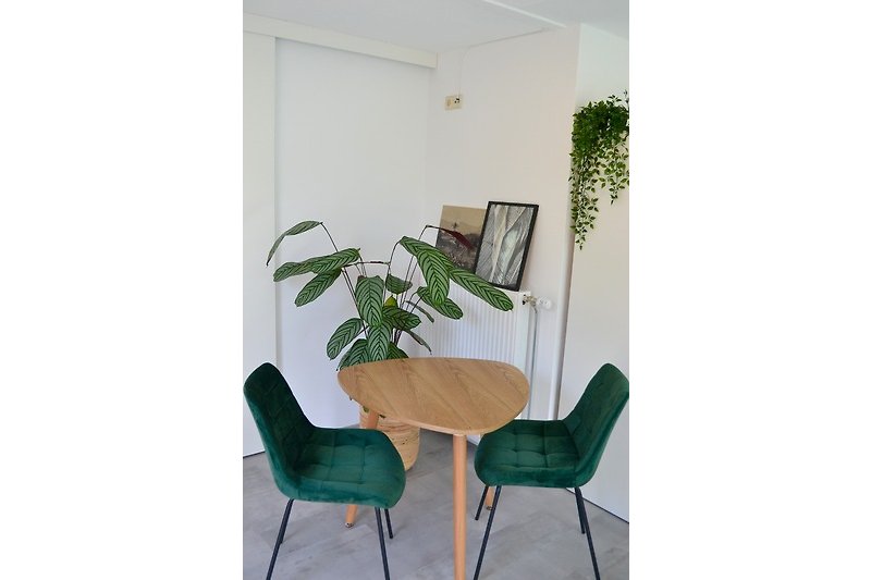 Komfortables Interieur mit Holzmöbeln und grünen Pflanzen.