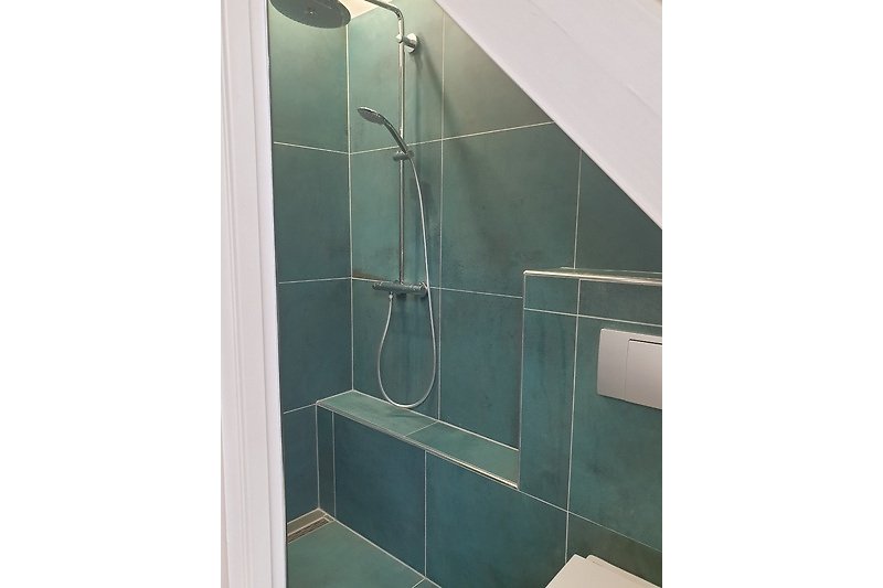 Moderne Badezimmerausstattung mit Dusche, Glas und Aluminium.