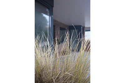 Casa vacanze Vacanza di relax Zandvoort