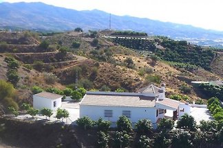 Cottage Casa Villa Olivo