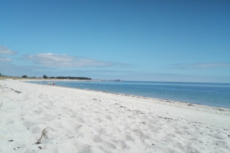Beach at a distance of 100m.