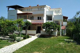 App Verovic
