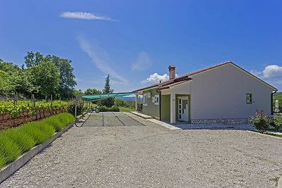 Villa Paliska in Ripenda Kras (Haus für 6-8...