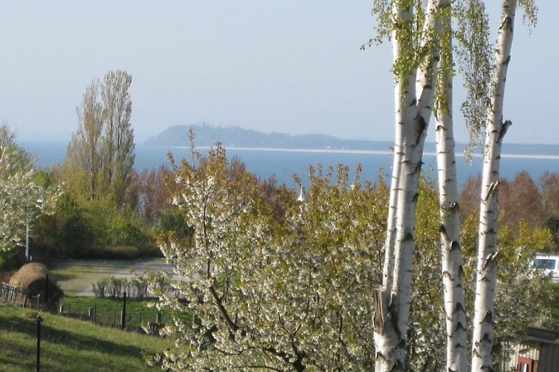 Widok na Morze Bałtyckie z mieszkania