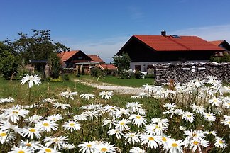 NEU Jagdhaus Chalet - Natur & SPA