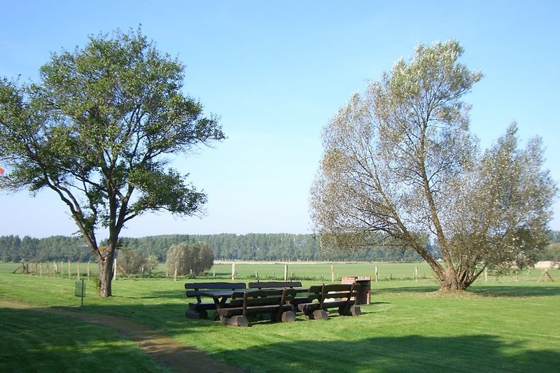 Barbecue area with seating group
