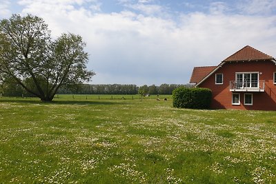 Vakantiewoning Am Salzhaff