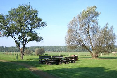 Vakantiewoning Am Salzhaff