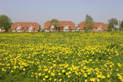 Residenza di vacanza Am Salzhaff
