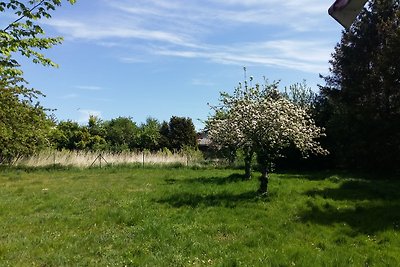 Ferienhaus Am Teich Rerik-Blengow