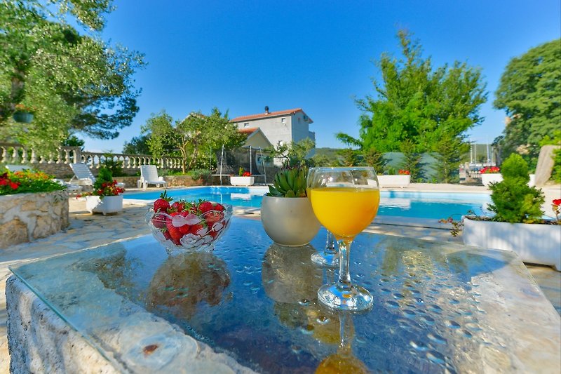 Villa Bibinje mit pool in Dalmatia - wiibuk.com