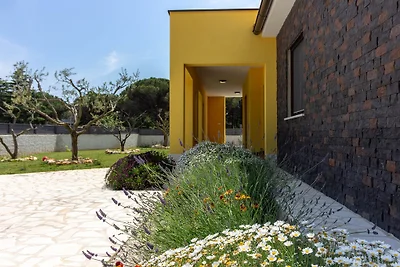 Villa Eve with salt water pool