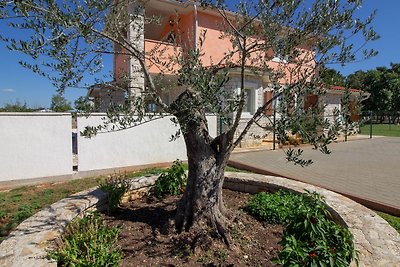 Villa Lavanda with pool, for 9 pers