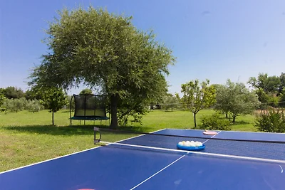 Villa Divina mit Pool in Medulin