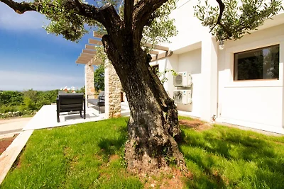Villa Irma mit privaten Pool