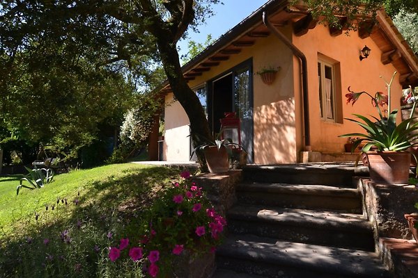 Ferienhaus Pescia